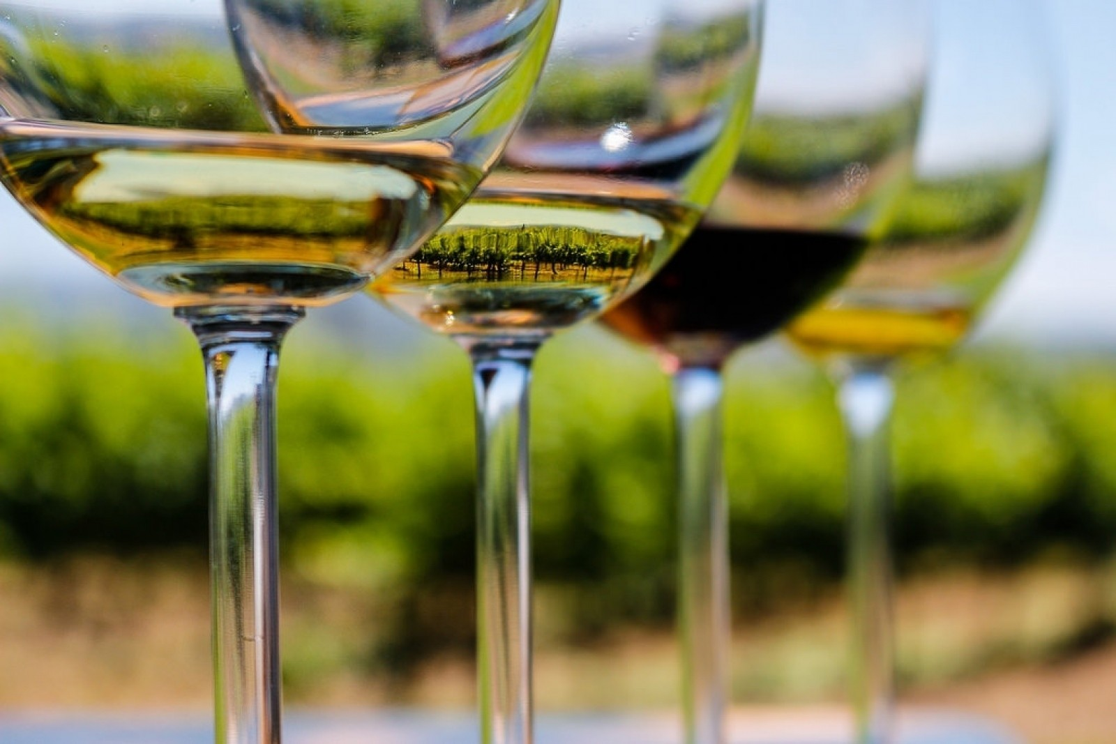 Tasting Adventures